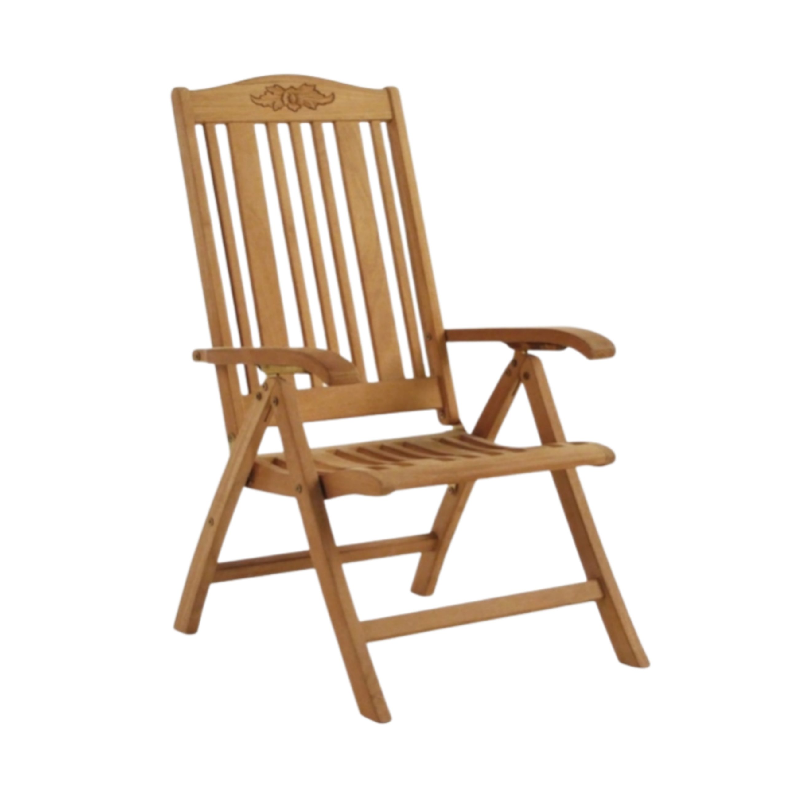 Regen Arm Folding Chair